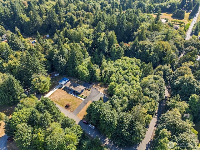 11905 Triviere Trl SE, Port Orchard, WA 98367 - photo 38