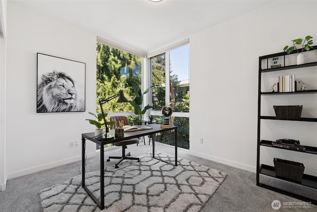 1742 12th Ave S Unit A, Seattle, WA 98144 - photo 16