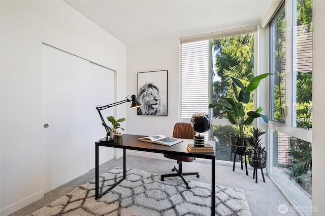 1742 12th Ave S Unit A, Seattle, WA 98144 - photo 18