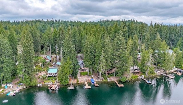 192 NE Lake Dr, Tahuya, WA 98588 - photo 10