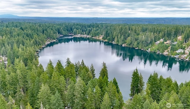 192 NE Lake Dr, Tahuya, WA 98588 - photo 11