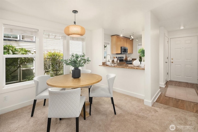 8615 238th St SW Unit B202, Edmonds, WA 98026 - dining space with light carpet and baseboards