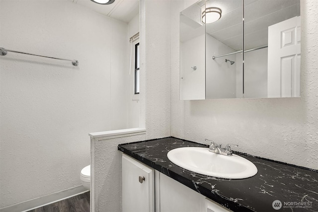 11500 Meridian Ave S Unit 22, Everett, WA 98208 - bathroom with wood finished floors, vanity, and a textured wall