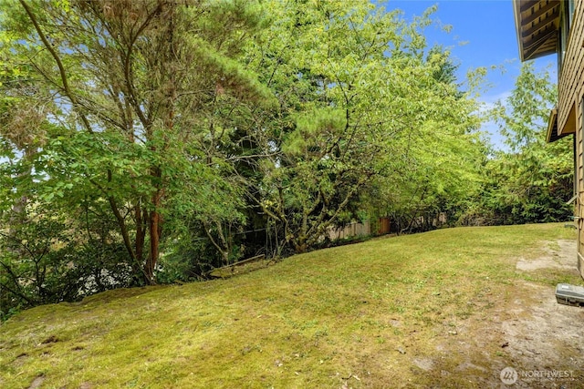 2305 88th St NE, Clyde Hill, WA 98004 - view of yard
