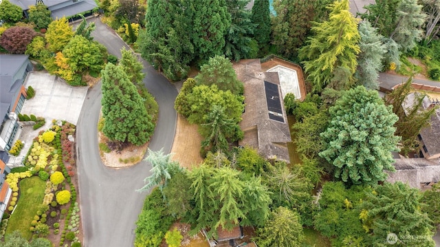 2305 88th St NE, Clyde Hill, WA 98004 - bird's eye view