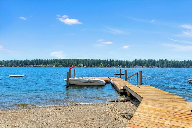 3960 E Mason Lake Dr W, Grapeview, WA 98546 - photo 28