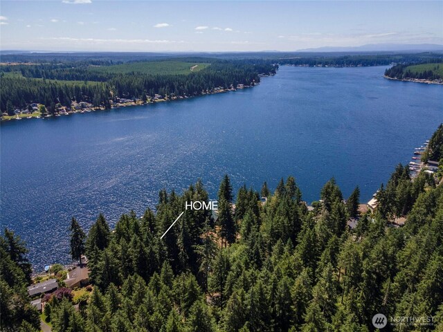 3960 E Mason Lake Dr W, Grapeview, WA 98546 - photo 29