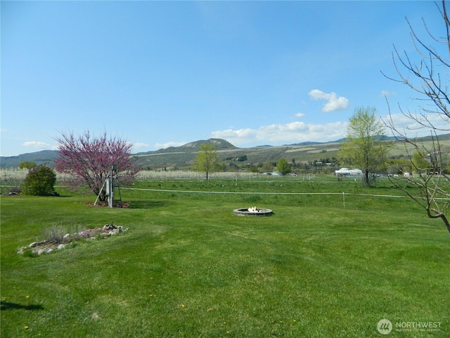 116 Clarkson Mill Rd, Tonasket, WA 98855 - photo 5