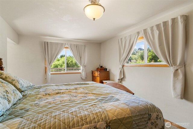 3613 Mcmullan Rd, Wenatchee, WA 98801 - view of bedroom