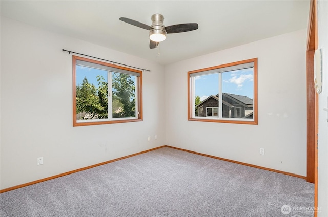 8516 83rd St NE, Marysville, WA 98270 - photo 25