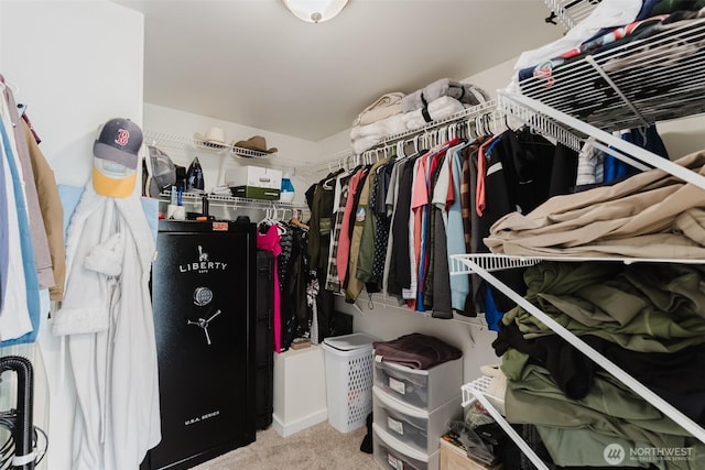 3761 Hannah Ct, Bellingham, WA 98226 - spacious closet featuring carpet flooring