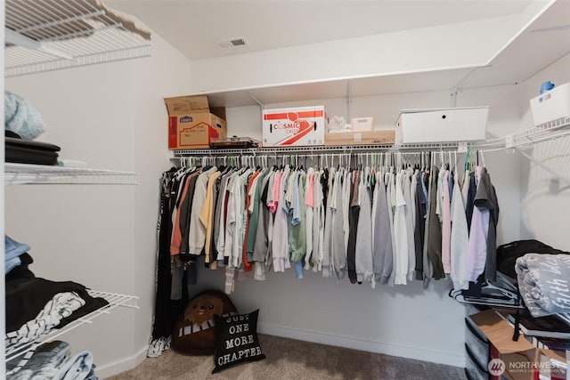 3761 Hannah Ct, Bellingham, WA 98226 - spacious closet with carpet