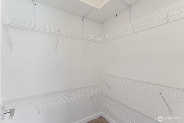 3761 Hannah Ct, Bellingham, WA 98226 - view of spacious closet