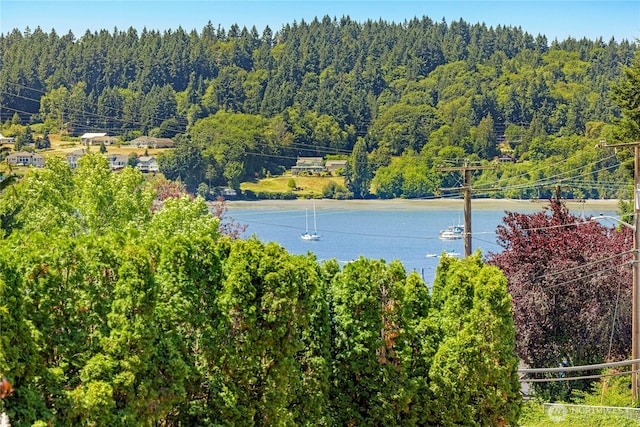 493 NE Lincoln Rd, Poulsbo, WA 98370 - photo 8