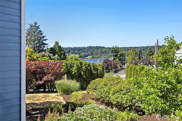 493 NE Lincoln Rd, Poulsbo, WA 98370 - photo 15