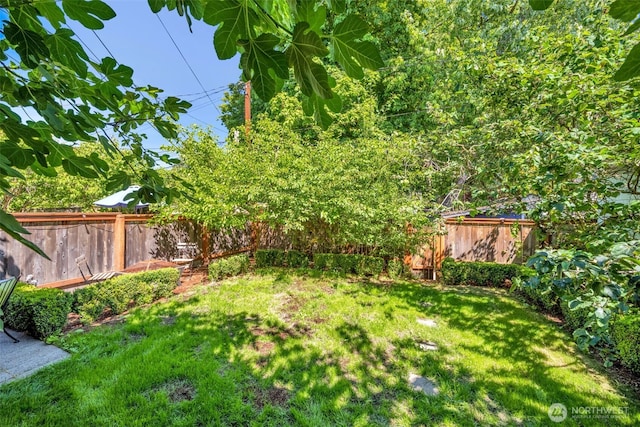 5618 12th Ave NE, Seattle, WA 98105 - photo 29