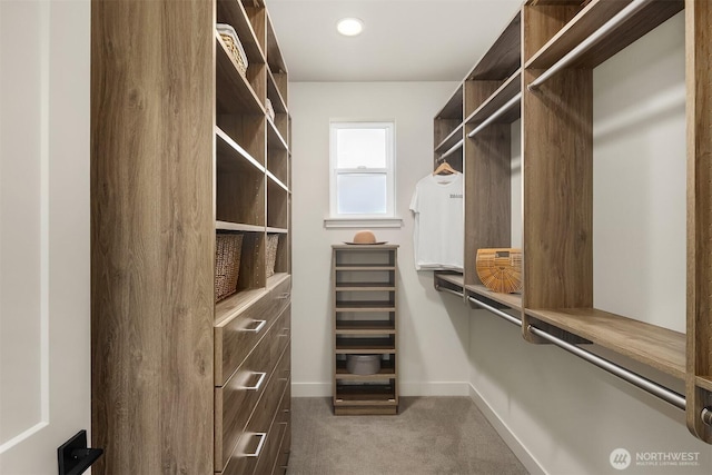 8841 Dibble Ave NW, Seattle, WA 98117 - walk in closet with carpet