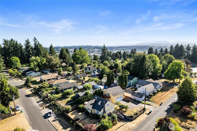 927 Bethel St NE, Olympia, WA 98506 - photo 4