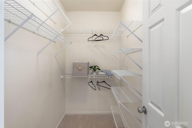 2009 196th St SE Unit C202, Bothell, WA 98012 - photo 18