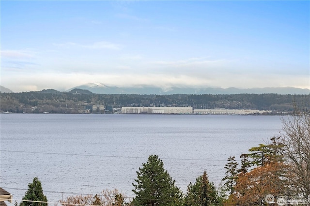 6915 55th Ave S Unit A, Seattle, WA 98118 - photo 31