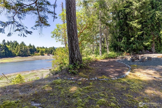 121 SE Emerald Dr, Shelton, WA 98584 - photo 34