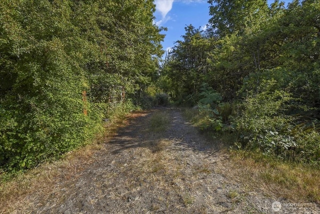 9774 NE Kitsap St, Bainbridge Island, WA 98110 - photo 2