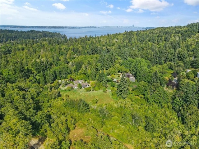 9774 NE Kitsap St, Bainbridge Island, WA 98110 - photo 7