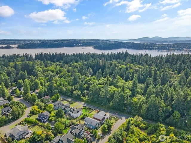 9774 NE Kitsap St, Bainbridge Island, WA 98110 - photo 8