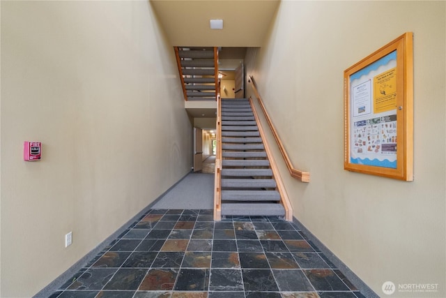 512 Darby Dr Unit 308, Bellingham, WA 98226 - photo 19