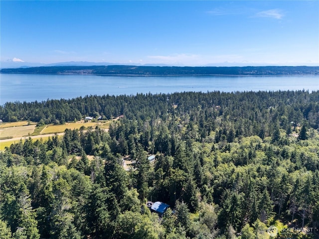 671 Edmonds Rd, Coupeville, WA 98239 - photo 34