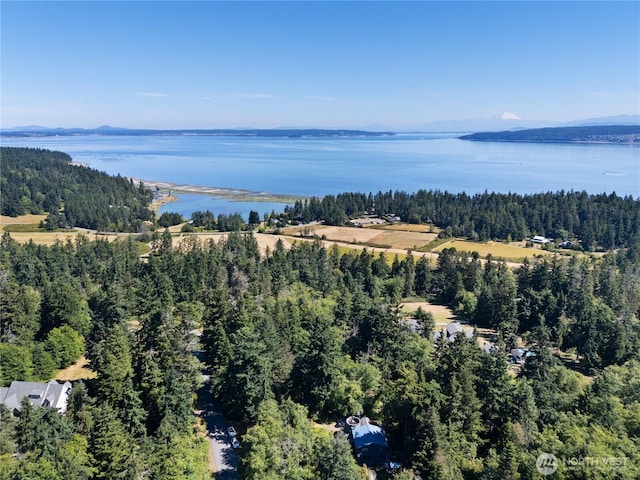 671 Edmonds Rd, Coupeville, WA 98239 - photo 35