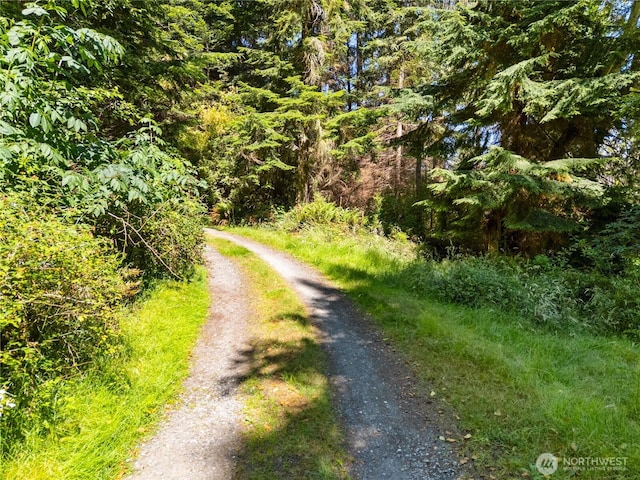 671 Edmonds Rd, Coupeville, WA 98239 - photo 36
