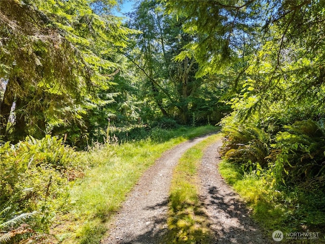 671 Edmonds Rd, Coupeville, WA 98239 - photo 38