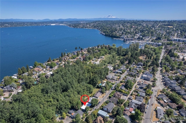 8414 55th Ave S, Seattle, WA 98118 - photo 31