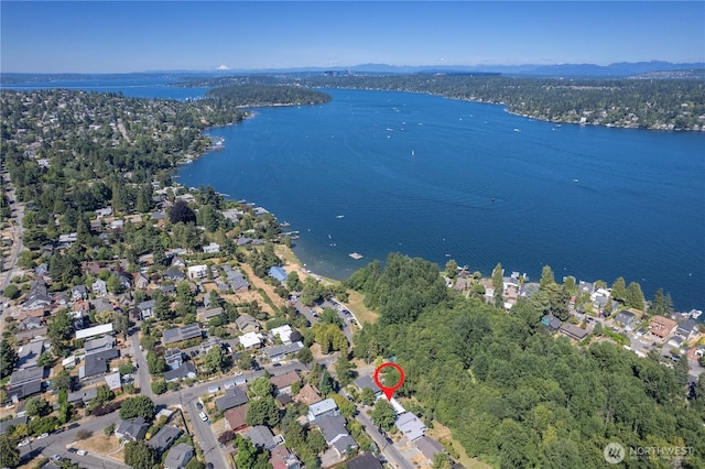 8414 55th Ave S, Seattle, WA 98118 - photo 32