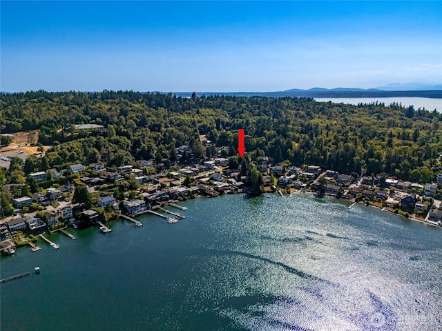 3764 W Commodore Way, Seattle, WA 98199 - photo 34