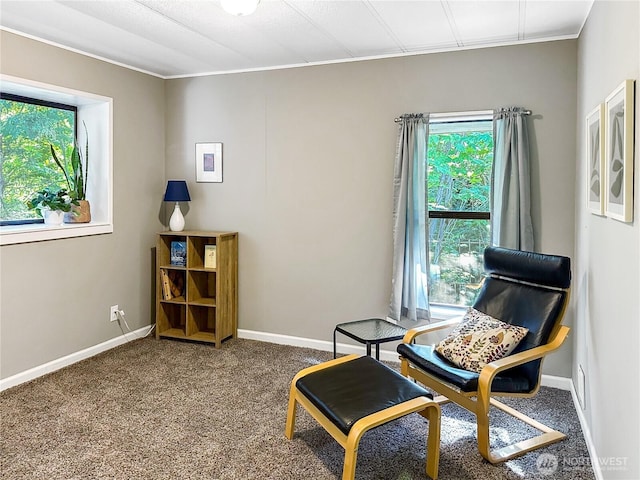 2500 S 370th St Unit 160, Federal Way, WA 98003 - photo 17