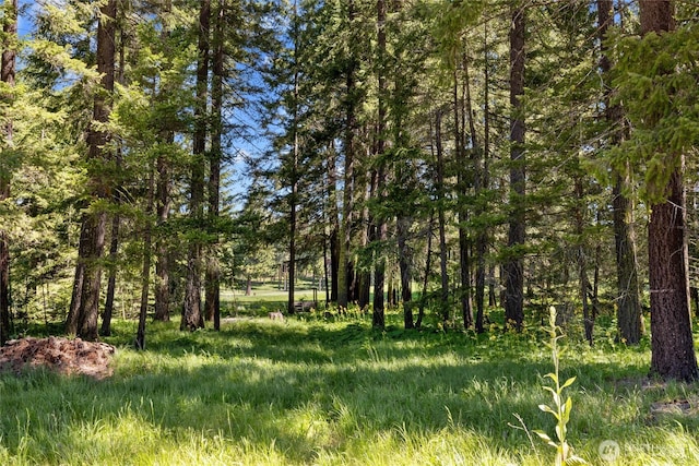 1190 Larkspur Loop, Cle Elum, WA 98922
