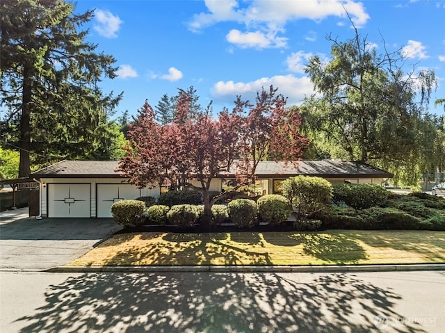 8230 215th St SW, Edmonds, WA 98026 - photo 29