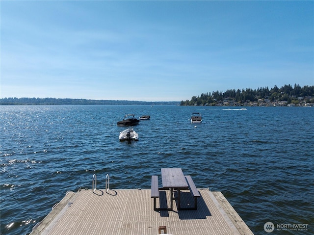 941 20th Pl W, Kirkland, WA 98033 - photo 39