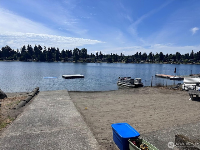 19204 34th Ave S, Seatac, WA 98188 - photo 40