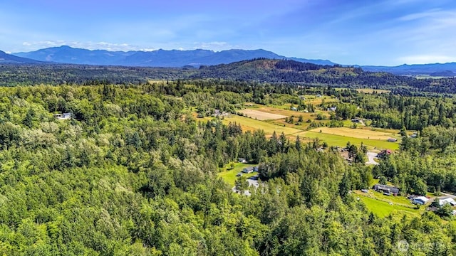 19379 Morton Rd, Burlington, WA 98233 - photo 2
