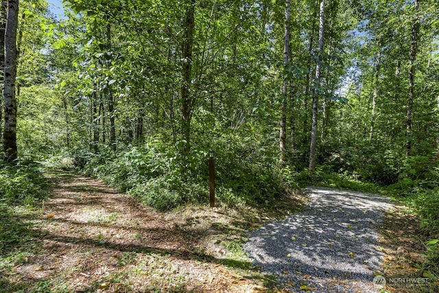 19379 Morton Rd, Burlington, WA 98233 - photo 33