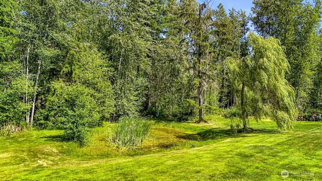 19379 Morton Rd, Burlington, WA 98233 - photo 36