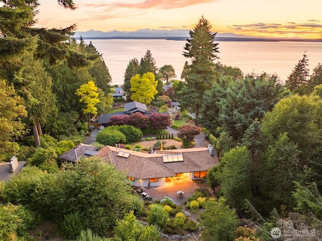 1031 NW Elford Dr, Seattle, WA 98177 - photo 1