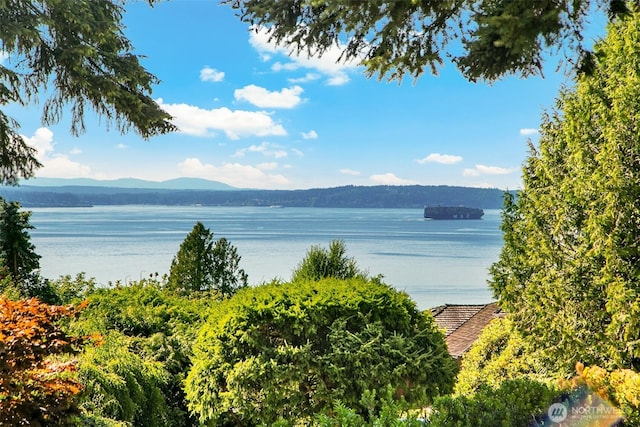 1031 NW Elford Dr, Seattle, WA 98177 - photo 3