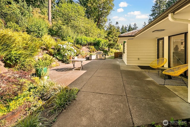 1031 NW Elford Dr, Seattle, WA 98177 - photo 19