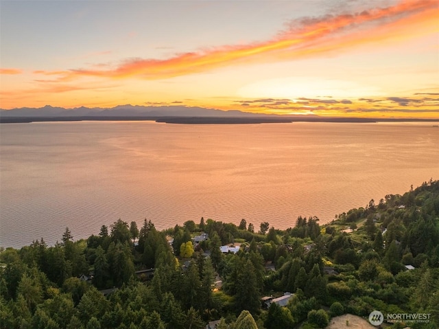 1031 NW Elford Dr, Seattle, WA 98177 - photo 20