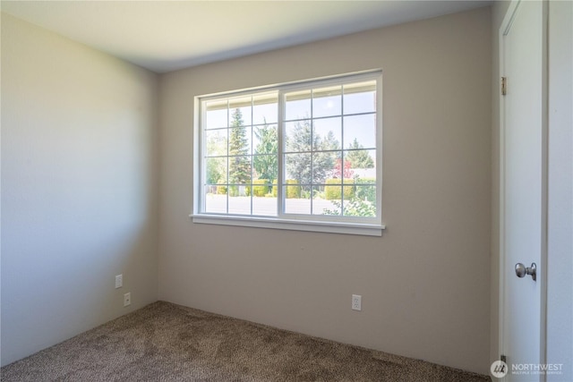 230 D St NE, Ephrata, WA 98823 - photo 25