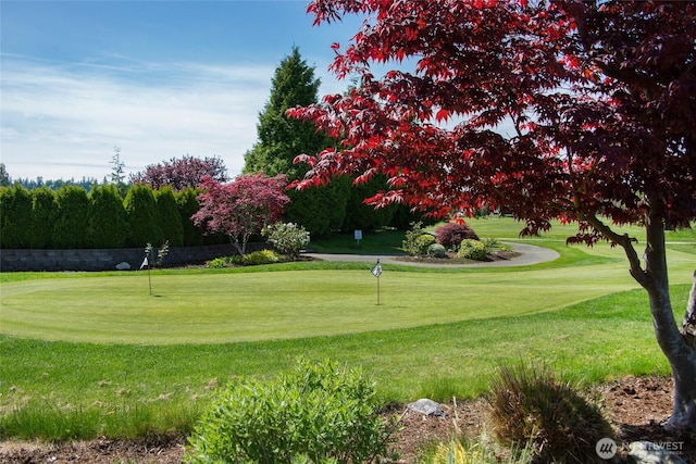8211 Quinault Rd, Blaine, WA 98230 - photo 37
